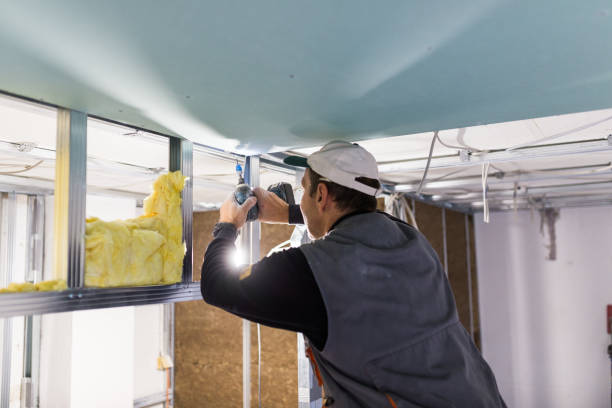 Best Eco-Friendly Insulation in Wimauma, FL