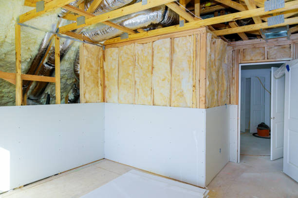 Best Energy Efficiency Insulation in Wimauma, FL